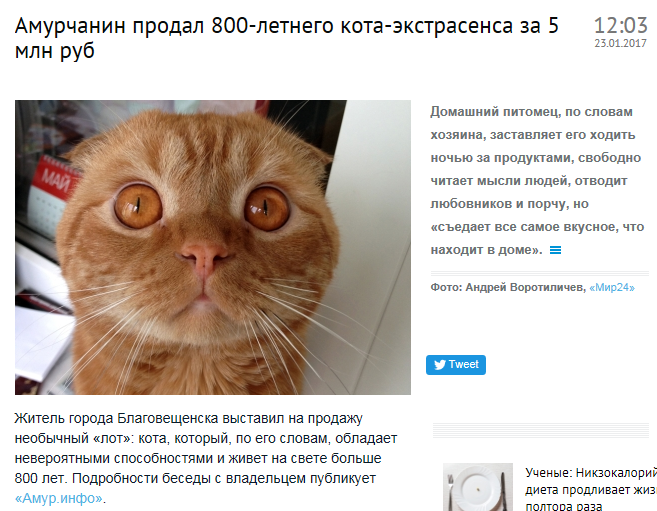http://savepic.ru/12693119.png