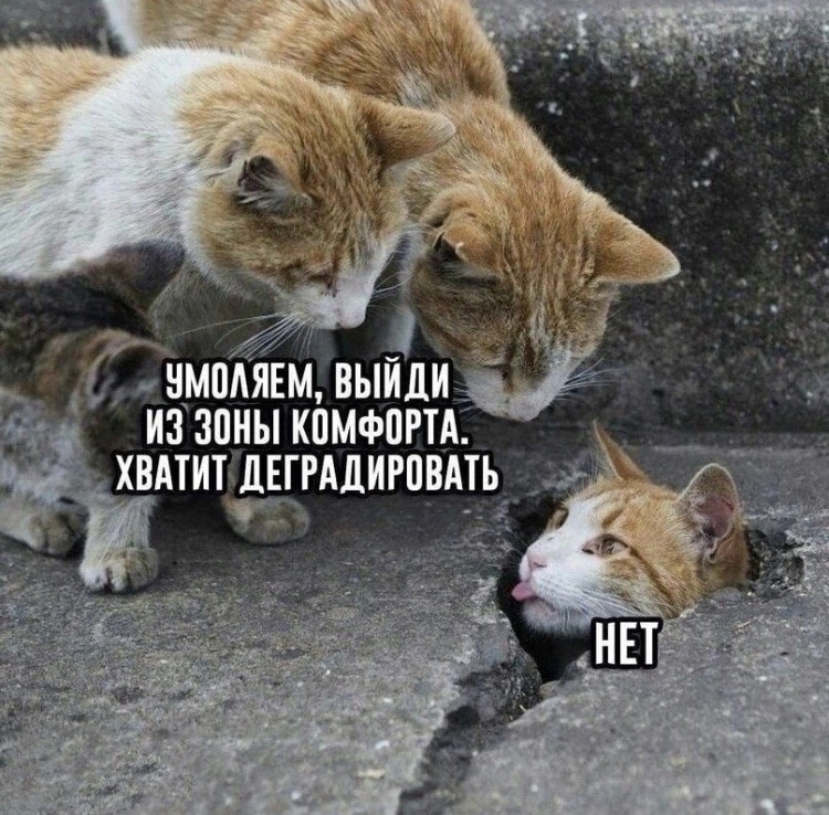 https://ic.pics.livejournal.com/humus/758313/52496280/52496280_original.jpg